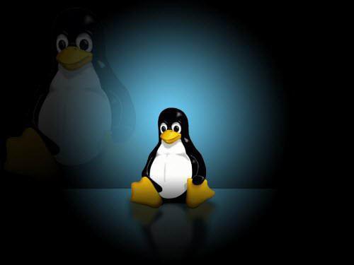 Linux系统之进阶命令详解