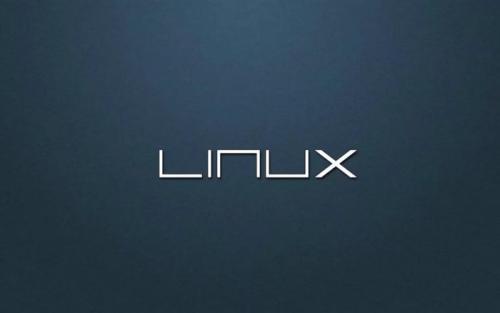 如何在Linux上获得错误段的核心转储