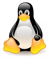 为什么要学习Linux？Linux的发展现状如何？