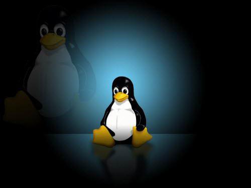Linux系统中Shell脚本教程（一）