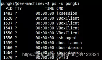 Linux系统中如何查看进程详情