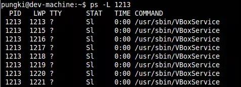 Linux系统中如何查看进程详情