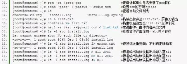 Linux系统中的Bash 功能的介绍